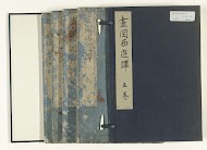 Geïllustreerd verslag van een reis naar het westen