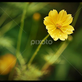 by Paul Agraviador - Uncategorized All Uncategorized