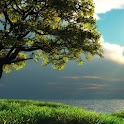 Nature Wallpapers