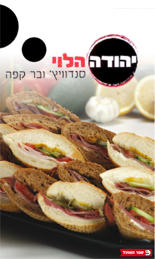 יהודה הלוי