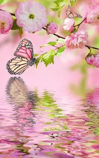 Pink Flowers Live Wallpaper(圖3)-速報App