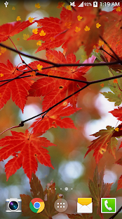 Free Download Maple Live Wallpaper PRO HD APK