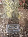 Dr. M. Russell Harter Memorial Tree