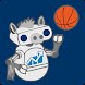 UCD Football & Basketball