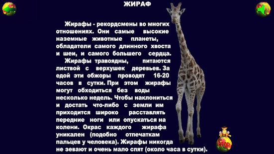 Учимся читать - ЖИВОТНЫЕ Screenshots 18