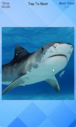 Shark Puzzle poster 3