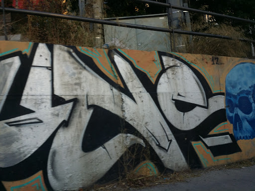Scull Graffiti
