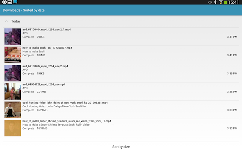 ☆ AVD تحميل فيديو - قطة شاشة مصغرة