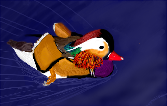 Mandarin Duck for  Aya