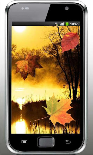 Autumn Sunset live wallpaper