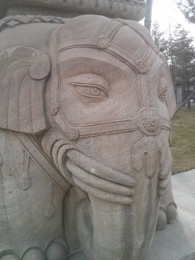 Buddha on  Elephant  