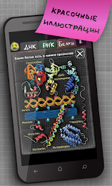 ayMolekula: Biology DNA free poster 3