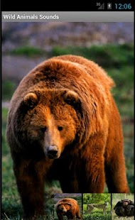 How to mod Wild Animals Sounds patch 1.0 apk for bluestacks