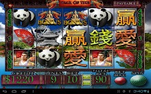 Year Of The Dragon Video Slot