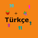 Sayi ve matematik Turkce