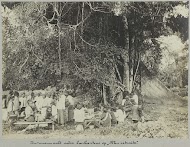 Javanenmarkt onder kankantree op "Ma retraite"