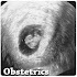 Obstetrics6.0