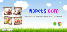 143pets Cute Videos APK