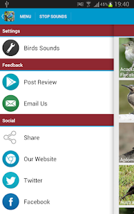 South American Birds Free(圖8)-速報App