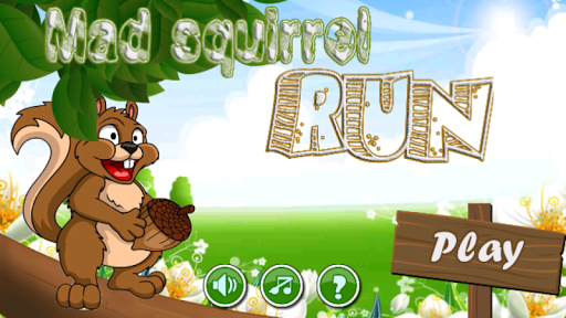 Mad squirrel run