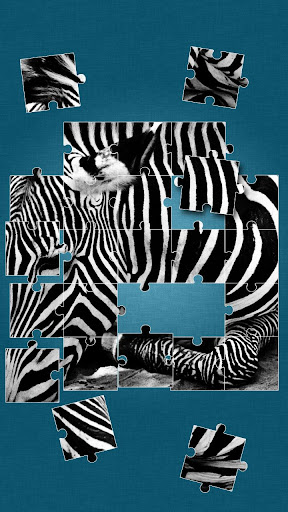 Zebras Puzzle Game