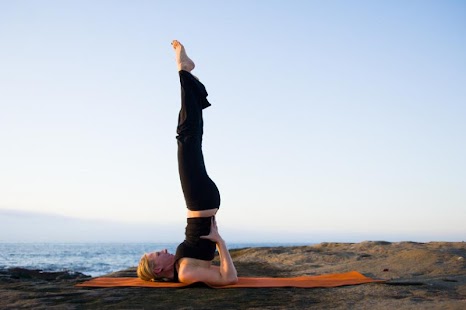 download Yoga Poses Pictures free