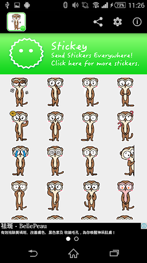 免費下載工具APP|Stickey Cute Meerkat app開箱文|APP開箱王