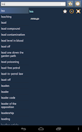 English Bulgarian dictionary poster 13