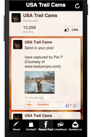 USA Trail Cams