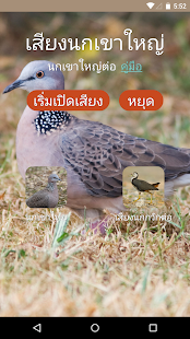 How to install Spotted dove sound 1.1 apk for bluestacks