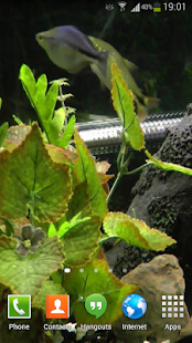 Fish Live Wallpaper HD 2(圖5)-速報App