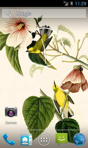 免費下載攝影APP|Audubon's Birds of America V02 app開箱文|APP開箱王