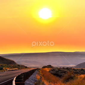 Into the sun by Julia Arredondo - Landscapes Prairies, Meadows & Fields