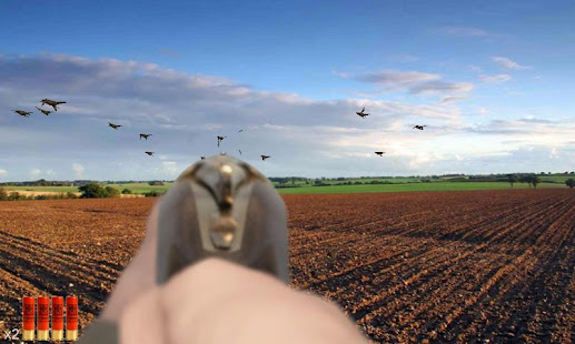 Clay Shooting(圖5)-速報App