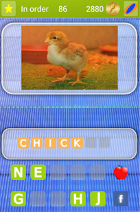 Discover the animal Winner Screenshots 4