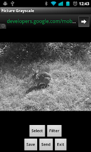 Picture Grayscale(圖2)-速報App