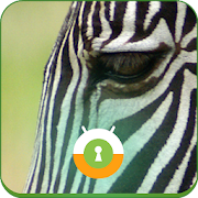 Zebra Wall & Lock  Icon