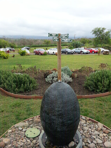 Organic Pineapple Fountain