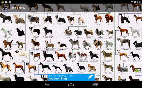 Dog Breeds(圖6)-速報App