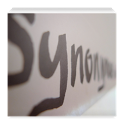 Synonymous - Rhyme Time icon