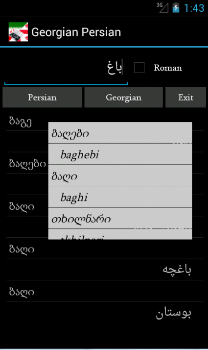 Georgian Persian Dictionary Screen 1