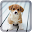 dream dog lwp free Download on Windows