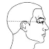 TCM Acupoint index for acupuncture2.69