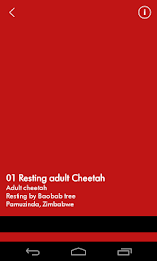 Nimbus: travel with sound poster 3