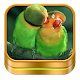 Bird Ringtones and Wallpapers APK