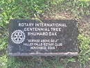 Rotary International Tree