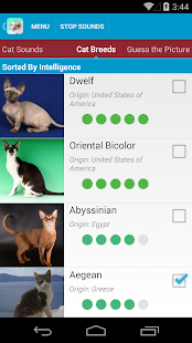 Cat Sounds and Breeds List(圖4)-速報App