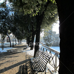 Snow in Rome, 2012 by Ruxandra Palade - City,  Street & Park Historic Districts