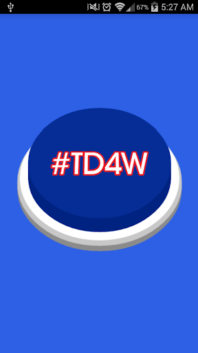 TD4W with widgets