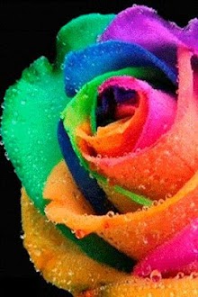 Rainbow Roses Live Wallpaper
